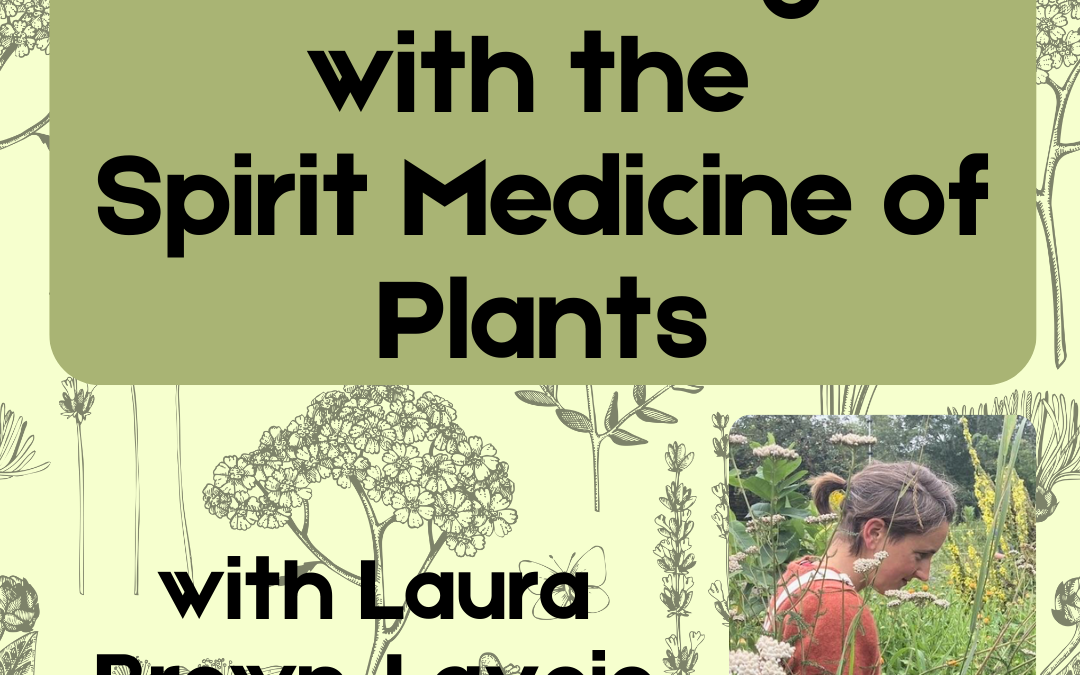 Adult Education: Connecting with the Spirit Medicine of Plants